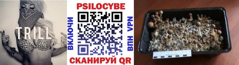 Псилоцибиновые грибы GOLDEN TEACHER  купить   Фокино 